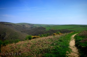 _MG_1649Estpix Exmoor