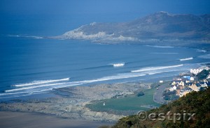 Wooly Coombesgate_estpix Woolly overview