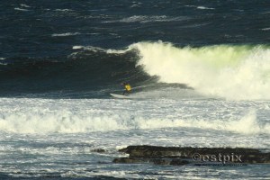 Fri Estpix 12091 Fryer