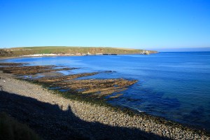 Scrabster Harbour Estpix12