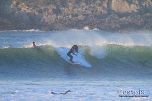 W180213Estpix08 - Copy