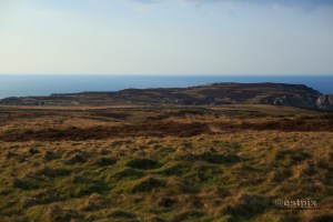 View north from Tibbetts