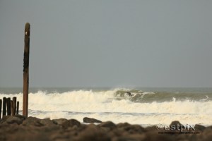 _STX8186FrothEstpix13