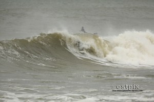 _STX8365FrothEstpix13