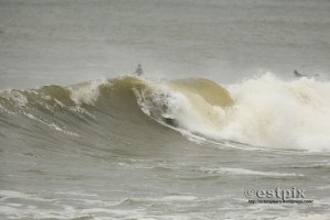 _STX8367FrothEstpix13