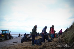 ESTX9581WBC_Estpix14