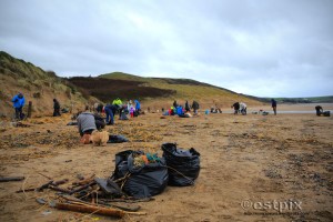 ESTX9601WBC_Estpix14