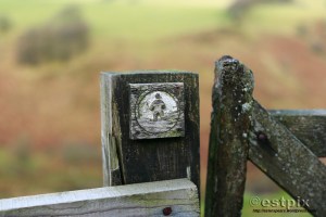 ESTX9817WBC_Estpix14