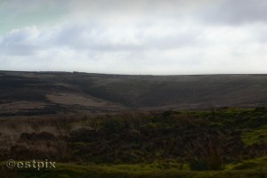 ESTX9861WBC_Estpix14