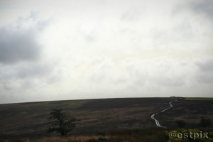 ESTX9867WBC_Estpix14