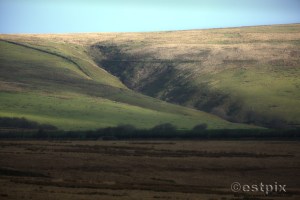 _STX9803WBC_Estpix14