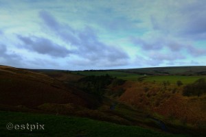 _STX9816WBC_Estpix14