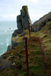 ESTX0350Lundy_Estpix14