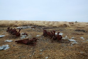 ESTX0422Lundy_Estpix14