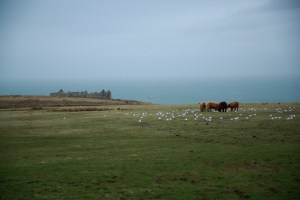 ESTX0427Lundy_Estpix14