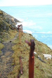 _STX0365Lundy_Estpix14