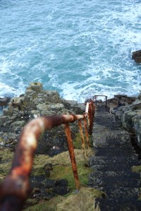 _STX0368Lundy_Estpix14