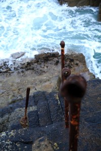 _STX0374Lundy_Estpix14