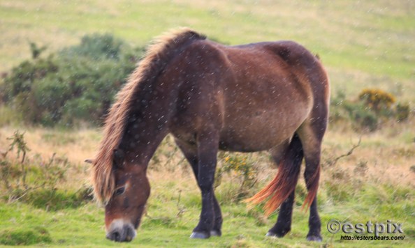 Blog_STX9766Estpix_14