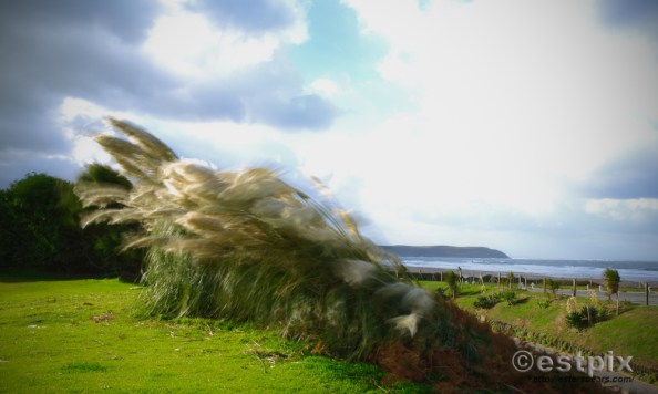 Blog_STX9829Estpix_14