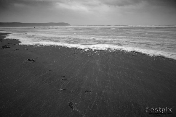estpix15Beach53B&amp;W