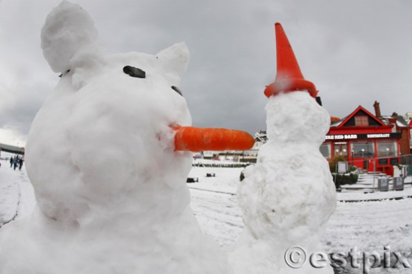 Smell carrots_Estpix09_49