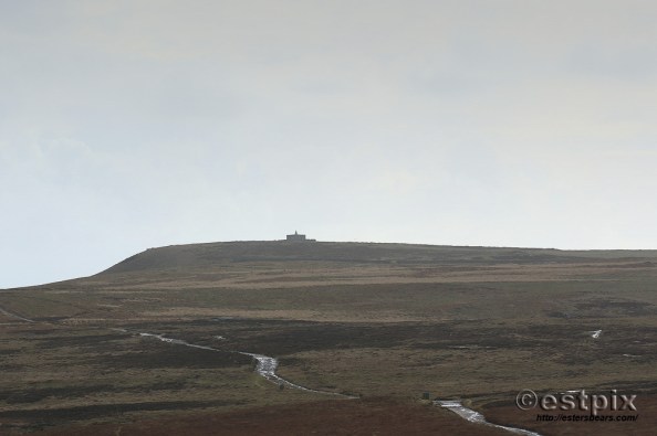 Estpix_Feb16 Lundy046