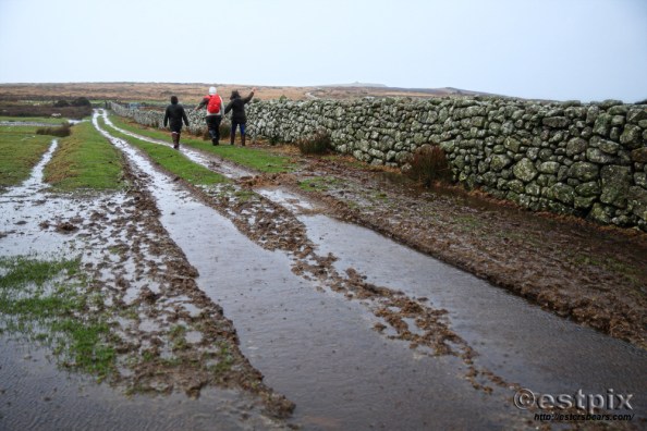 Estpix_Feb16 Lundy057