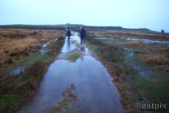 Estpix_Feb16 Lundy060