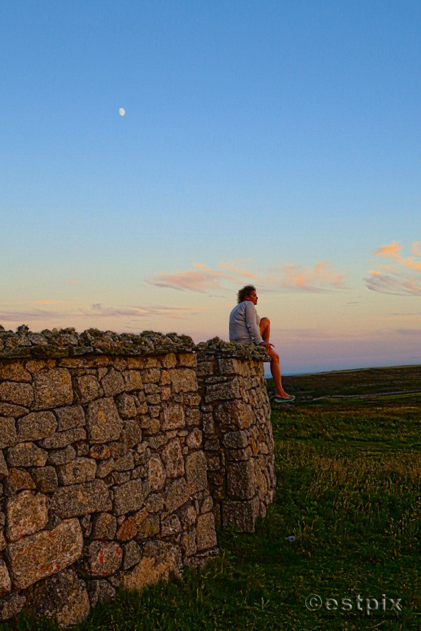 b-wall_stx3203estpix16