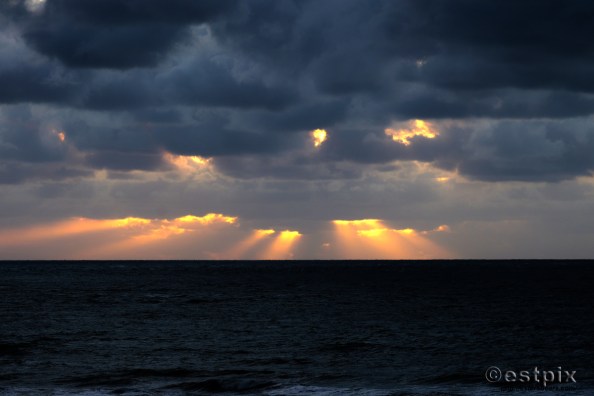 Wooly sunset_EST1883