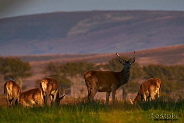 _DSF7692OktobeR Estpix 18_1