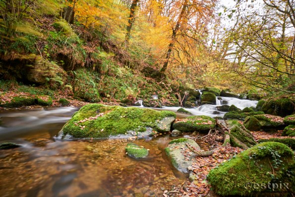 _EST8258OktobeRplus Estpix 18