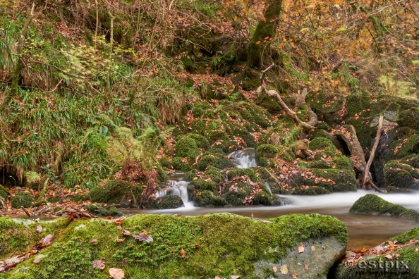 _EST8268OktobeRplus Estpix 18