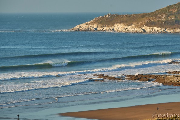 _EST8301WoolyNov Estpix 18