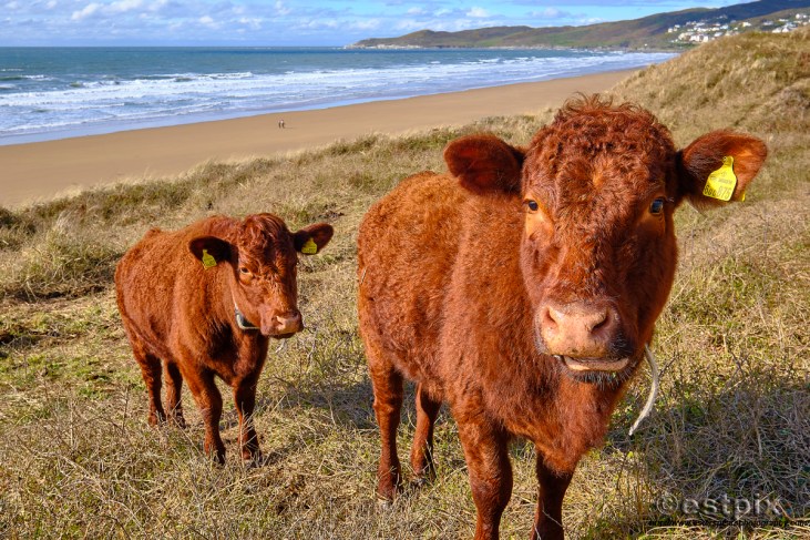 _EST9625Spring Prjck Estpix 19